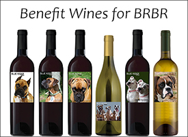 benefit-wine-boxer