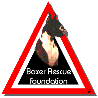 contributor-boxerrescuefoundation