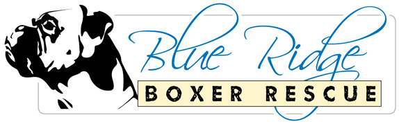 Blue Ridge Boxer Rescue