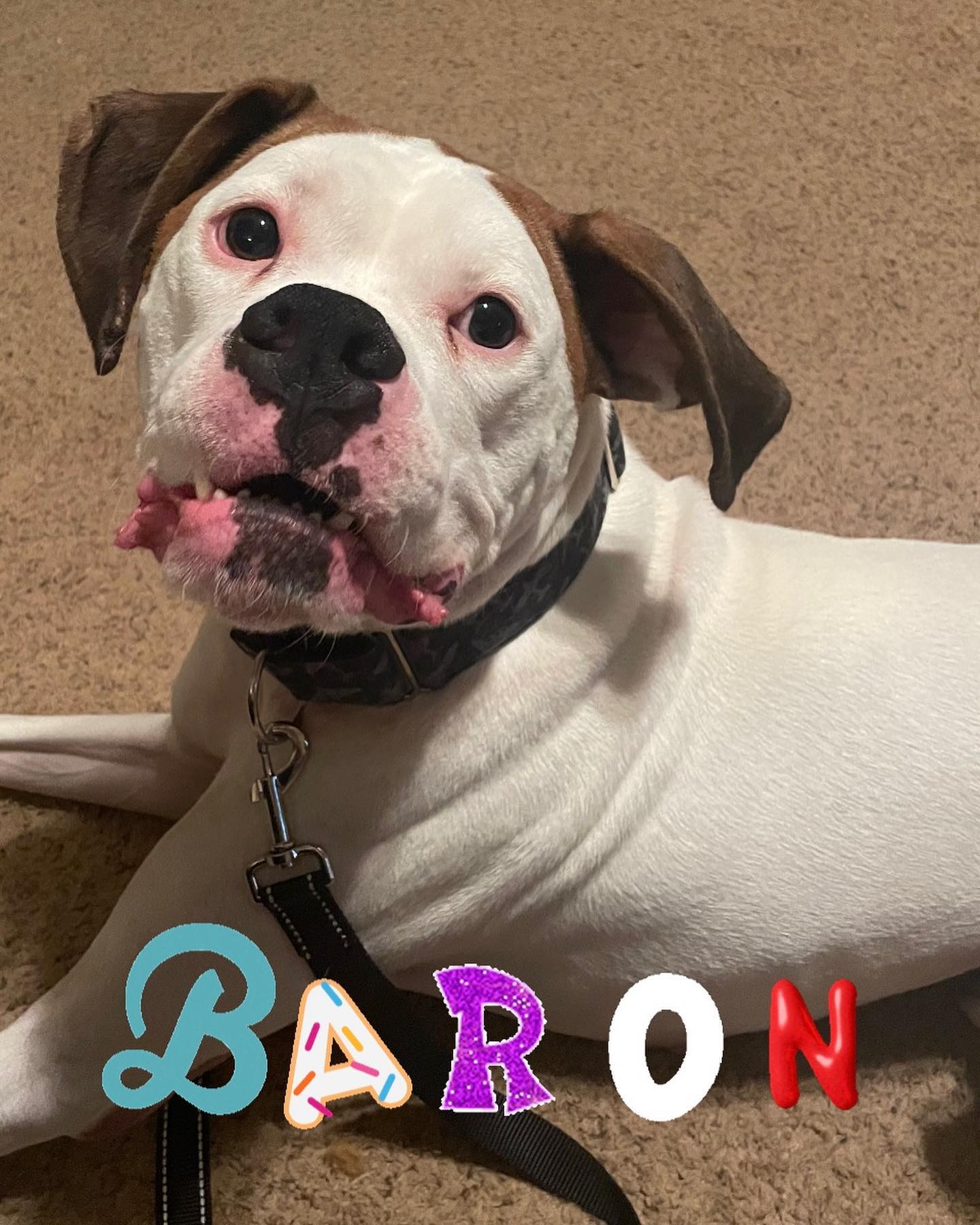 Baron 2023-4471