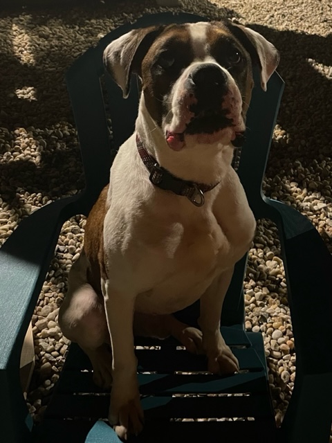 Zeke 23-4489