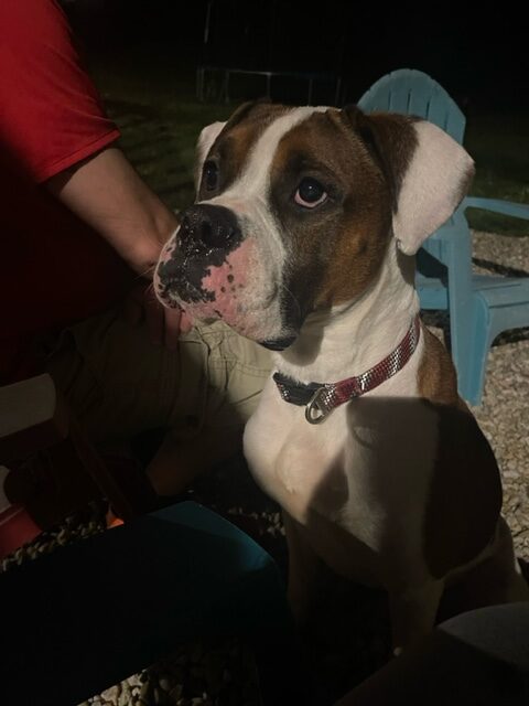Zeke 23-4489